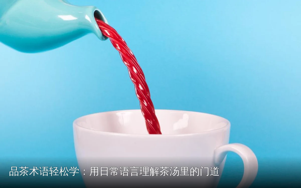 品茶术语轻松学：用日常语言理解茶汤里的门道