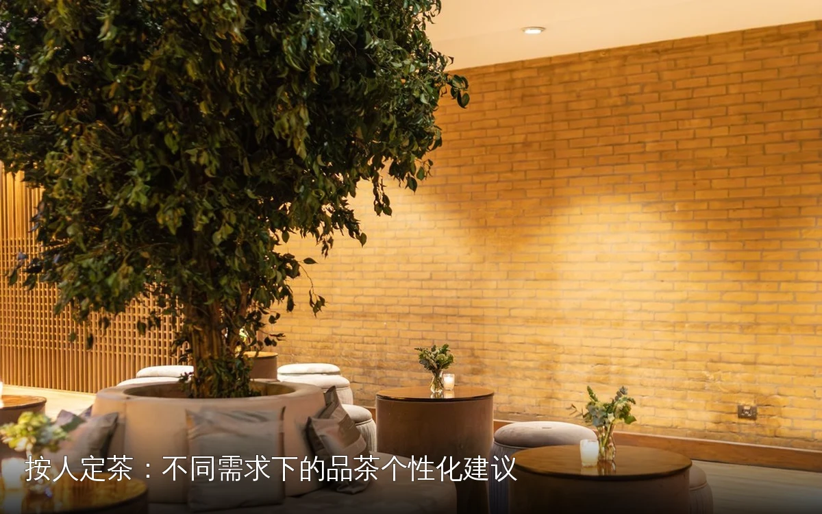按人定茶：不同需求下的品茶个性化建议