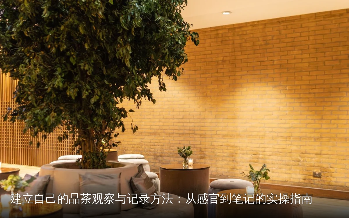 建立自己的品茶观察与记录方法:从感官到笔记的实操指南|为什么需要自己的观察与记录方法|为什么需要自己的观察与记录方法